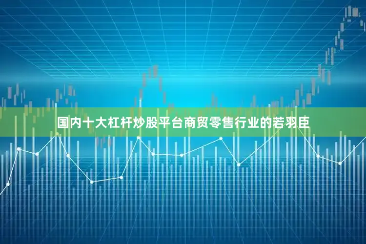 国内十大杠杆炒股平台商贸零售行业的若羽臣