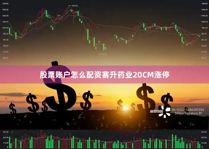 股票账户怎么配资赛升药业20CM涨停