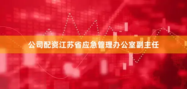 公司配资江苏省应急管理办公室副主任